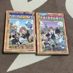 FAIRYTAIL フェアリーテイル 小説 2巻セット