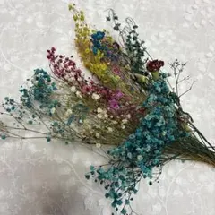 ✴︎ドライフラワー✴︎92