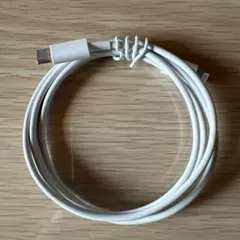 Apple純正 Lightningケーブル USBType-C