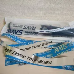 SnowMan Dome Tour 2024 RAYS ペンライト 銀テープ