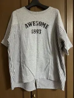 IRIE バックギャザーストライプ切り替えTシャツ グレー/ストライプ