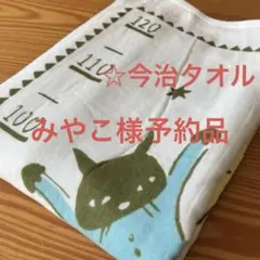 Item thumbnail for item 322a2d66-3a15-403b-9904-d44127b99885