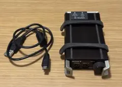 Item thumbnail for item b1fc2642-b4c1-4c4b-b82a-ff89b44a6fa3