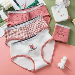 L サイズレディース ショーツ 綿下着コットンショーツ5枚セット