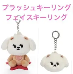 2025年最新】ppulbatu plush keyringの人気アイテム - メルカリ