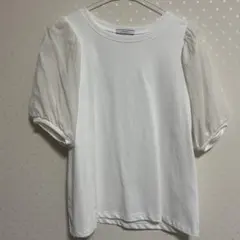 Tシャツのサムネイル