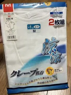 GUNZE 半袖U首 Tシャツ 2枚組 M ホワイト