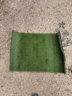 Item thumbnail for item 8480decf-f677-4259-ae91-69e9ca3c2141