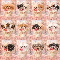 yukika-na様 リクエスト 2点 まとめ商品