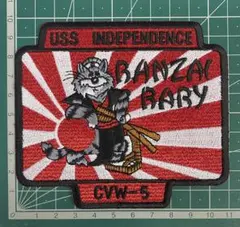 No.221 USS INDEPENDENCE CVW-5