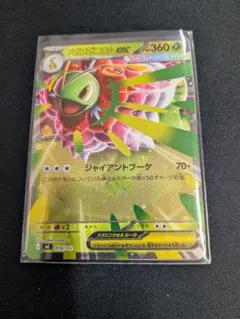 メガメガニウムexのサムネイル