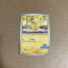2026年最新】くつろぎ ピカチュウの人気アイテム - メルカリ