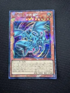 遊戯王 心宿りし青眼竜 コレクターズレア