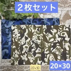 ２枚組★小さめランチョンマット★給食ナフキン★迷彩恐竜
