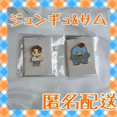 【匿名配送】TREASURE はぴだんぶい ピンバッジ ジュンギュ サム