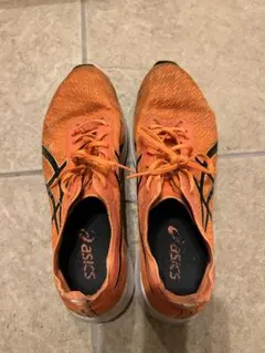 Asics Magic Speed (25.5cm)