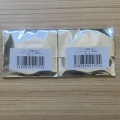 進撃の巨人 缶バッジ