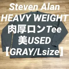 Steven Alan＞ メリノウール クルーネック ロングスリーブ Tシャツ