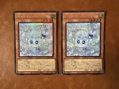 遊戯王 マルチャミー ニャルス プルリア フワロス スーパー 各3枚