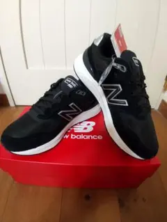 Item thumbnail for item 856a7adb-3c46-4f0c-8c6c-b737acfb03c3