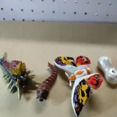 2026年最新】バトラ成虫の人気アイテム - メルカリ