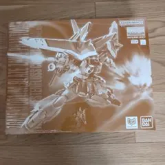 MG 1/100 ブレイズザクファントム(ハイネ・ヴェステンフルス専用機)
