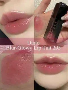Dinto Blur-Glowy Lip Tint 205