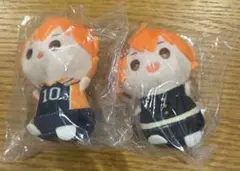 もちもちマスコットたっち ハイキュー vol.1 特典 通常 日向翔陽