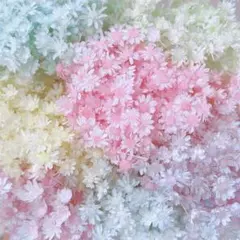 NEKO☆プロフ必読お願いします☆様 リクエスト 2点 まとめ商品