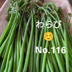 わらび(紀伊山地)500gのサムネイル
