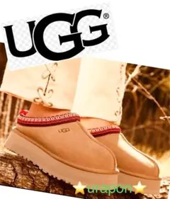 国内正規品✨激レア✨入手困難✨美品✨23⇒22.5靴下～✨UGG✨TAZZ✨タズ