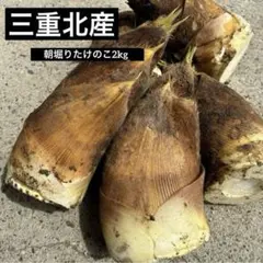 三重北産　朝採れたけのこ2kg