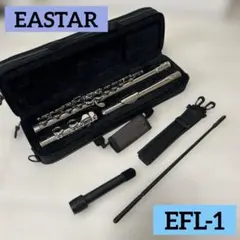 2026年最新】eastar フルートの人気アイテム - メルカリ