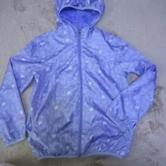 Item thumbnail for item 9d5d7d42-468f-4538-afc1-b5b969b854a6