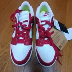 NIKE DUNK LOW ネクストネイチャー　26.5cm　未使用品　箱なし