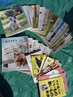 2026年最新】いぬのきもち 2024年6月号の人気アイテム - メルカリ