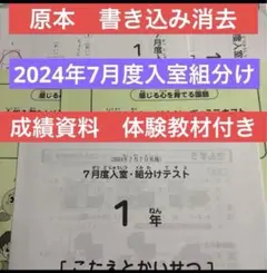 SAPIX 4年 7月度入室 組分けテスト 2025,2024年 - メルカリ