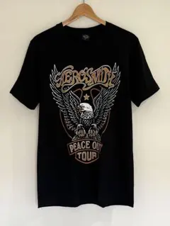 新品 バンドTシャツ L エアロスミス AERO SMITH