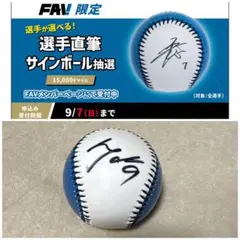 Item thumbnail for item 06c2b80a-0d36-4e4e-9d56-e9cf9b7f08d1