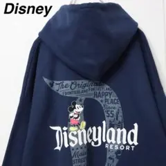 【バックプリント】ディズニーパーク ヘインズ パーカー ビッグロゴ XLサイズ