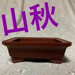 山秋　盆栽鉢　長方 楽天市場】【中古】 盆栽鉢 常滑 中野 行山 大型 長辺 約41.5cm