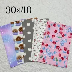 ランチョンマット 30×40 5枚セット　女の子用　ユニコーン　チェリー他