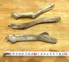 Item thumbnail for item 67c33568-f414-4a28-ae62-4a4981abb236