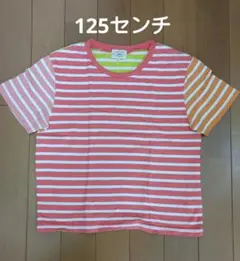green label relaxing　ボーダー柄 Tシャツ 125cm