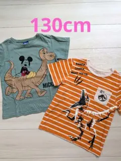 恐竜柄 Tシャツ 2枚セット 130cm