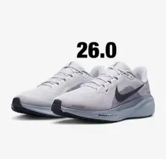 ナイキ ペガサス 41 26.0㎝