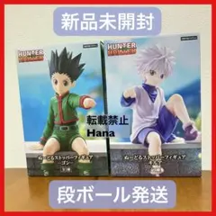 HUNTER×HUNTER ぬーどるストッパーフィギュア ゴン キルア ②