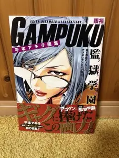 2026年最新】平本アキラ画集 gampukuの人気アイテム - メルカリ