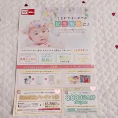 スタジオマリオ クーポン　割引券