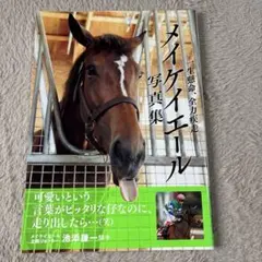 メイケイエール写真集 一生懸命、全力疾走　池添謙一